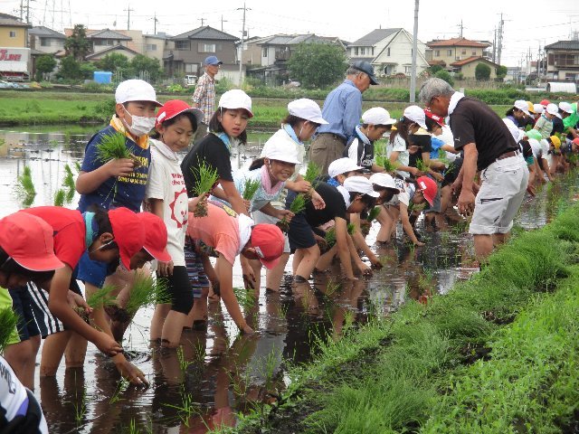 20190529taue016.JPG