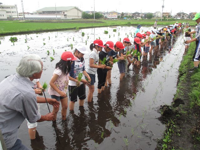 20190529taue021.JPG