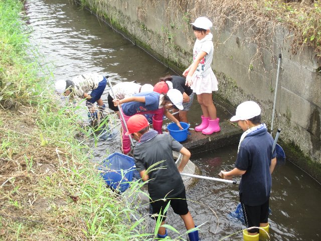 20190904ikimono008.JPG