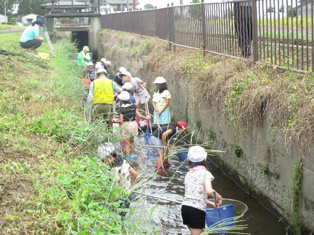 20190904ikimono013.JPG