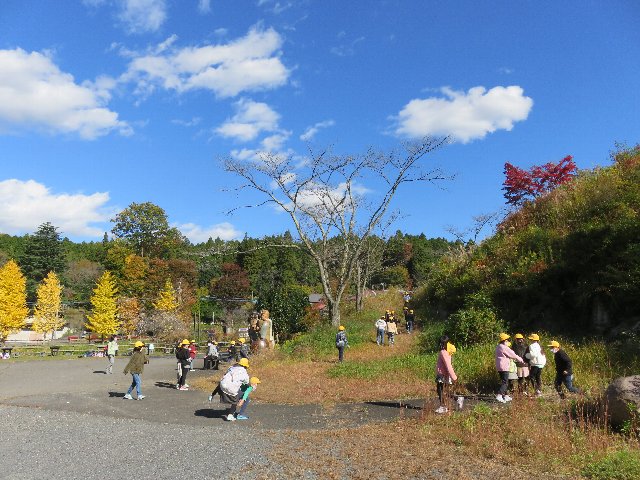 20201110masiko022.JPG