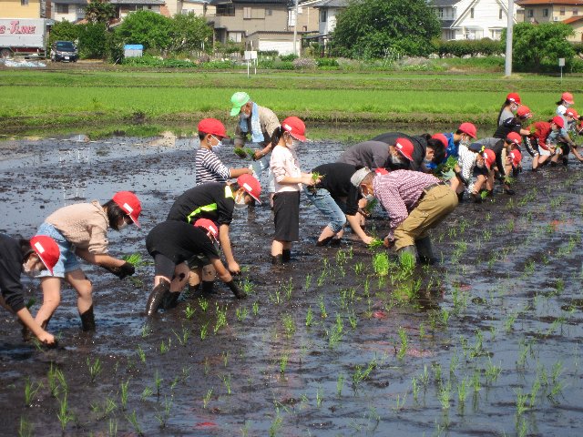 20220524taue006.jpg