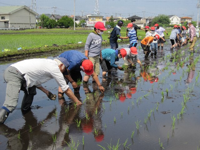 20220524taue019.jpg