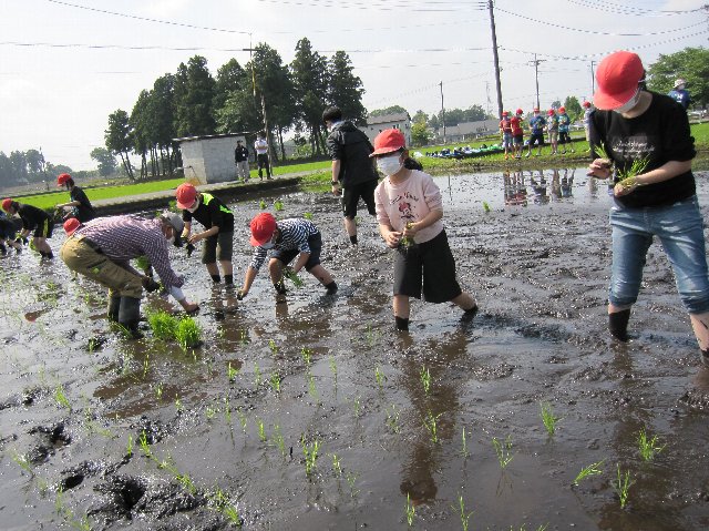 20220524taue050.jpg